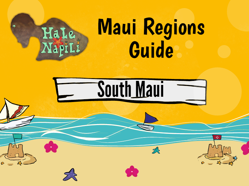 South Maui Info Graphic